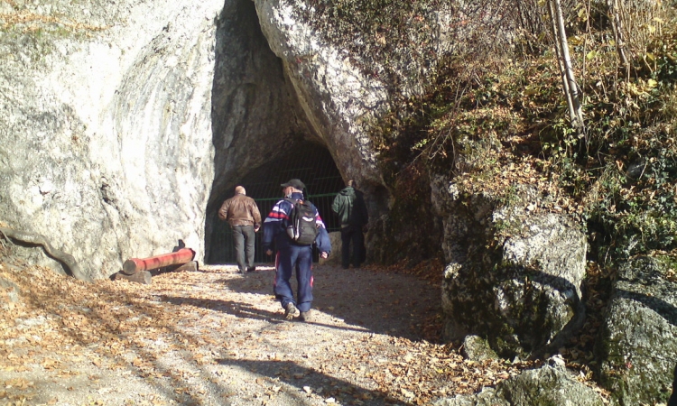 Jaskinia Nietoperzowa