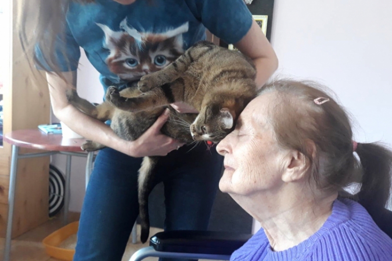 Kocia – terapia w naszym domu  (fot. 5)