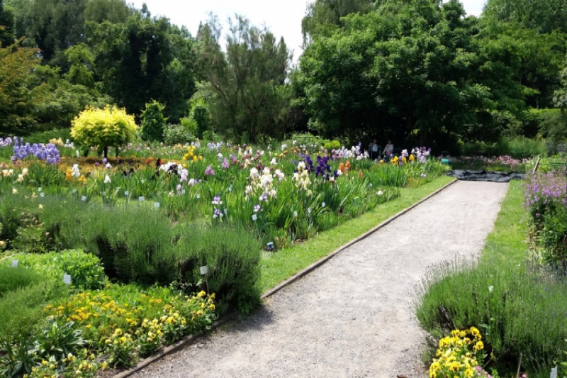 Wyjście do ogrodu botanicznego (fot. 7)