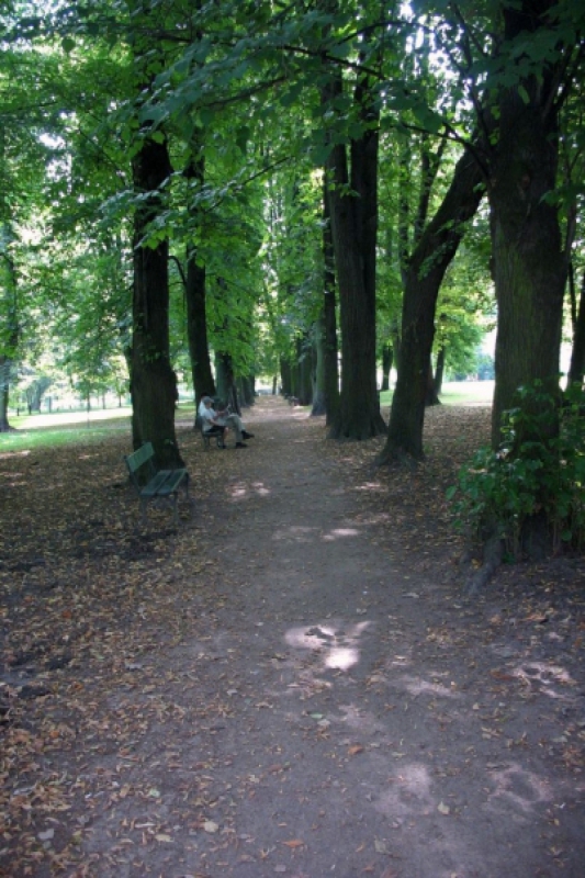Park Kościuszki (fot. 4)